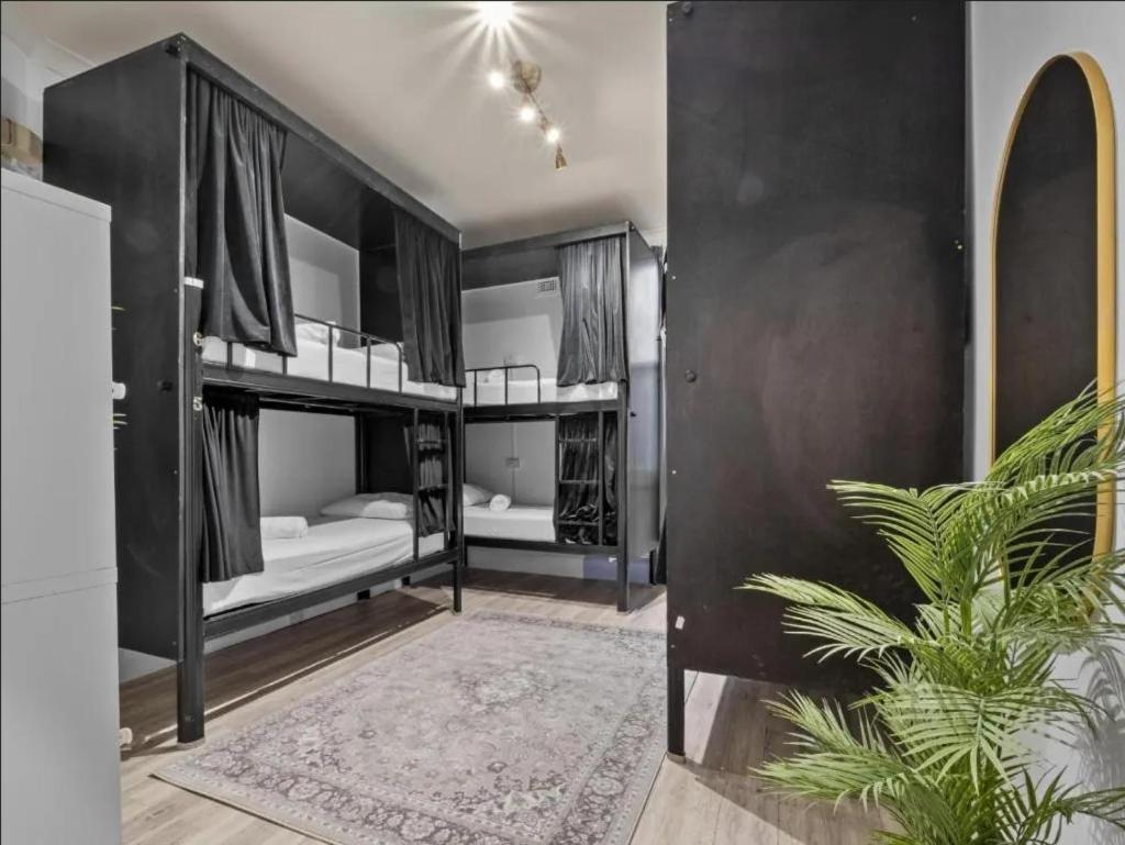 Azzurro Pod Hotel Darling Harbour- Near Icc 시드니 외부 사진